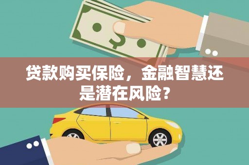 湘东贷款购买保险，金融智慧还是潜在风险？