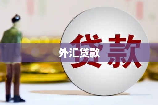 湘东外汇贷款