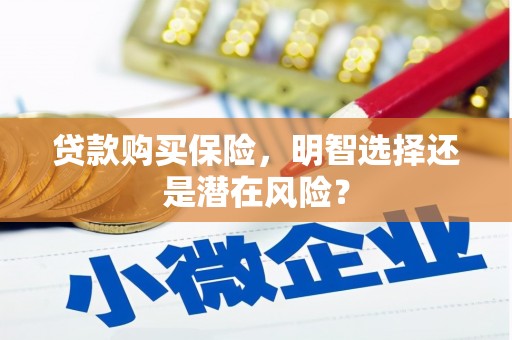 湘东贷款购买保险，明智选择还是潜在风险？
