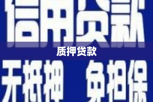 湘东质押贷款