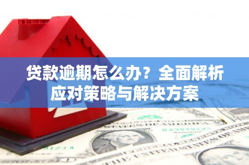 湘东贷款逾期怎么办？全面解析应对策略与解决方案
