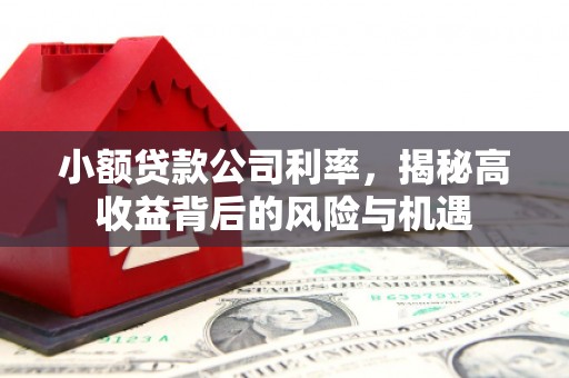 湘东小额贷款公司利率，揭秘高收益背后的风险与机遇