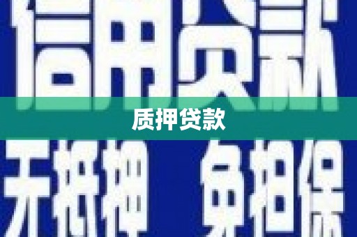湘东质押贷款