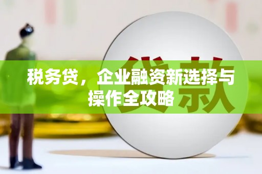 湘东税务贷，企业融资新选择与操作全攻略