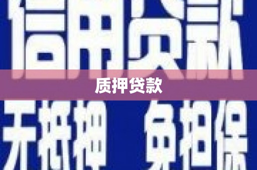 湘东质押贷款