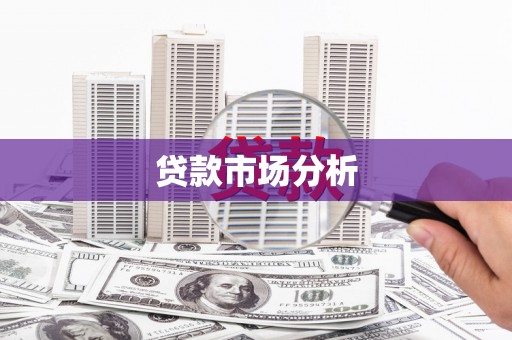湘东贷款市场分析