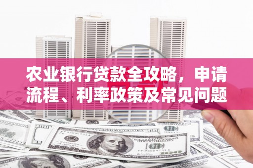湘东农业银行贷款全攻略，申请流程、利率政策及常见问题解析