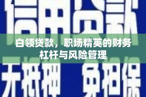 湘东白领贷款，职场精英的财务杠杆与风险管理