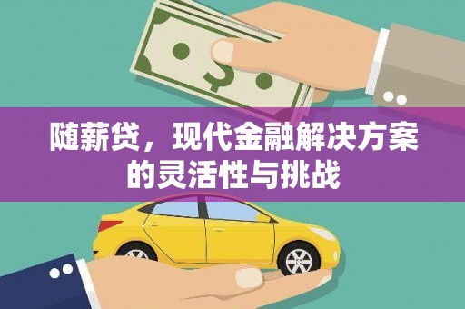 湘东随薪贷，现代金融解决方案的灵活性与挑战