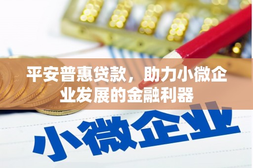 湘东平安普惠贷款，助力小微企业发展的金融利器
