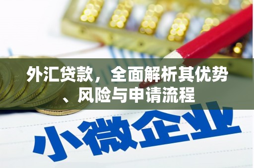 湘东外汇贷款，全面解析其优势、风险与申请流程