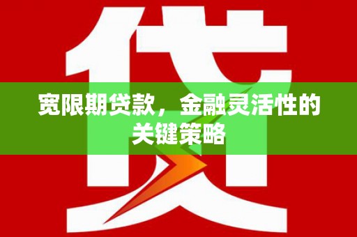 湘东宽限期贷款，金融灵活性的关键策略