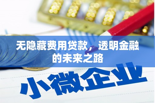 湘东无隐藏费用贷款，透明金融的未来之路