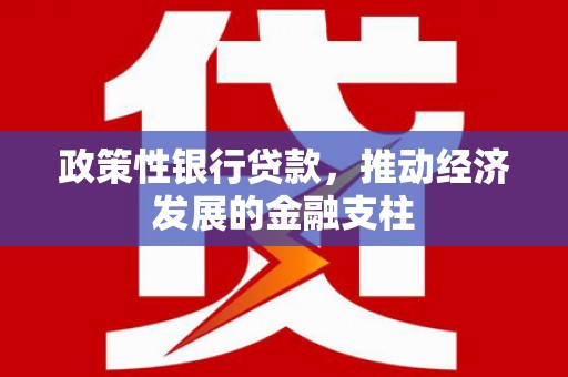 湘东政策性银行贷款，推动经济发展的金融支柱