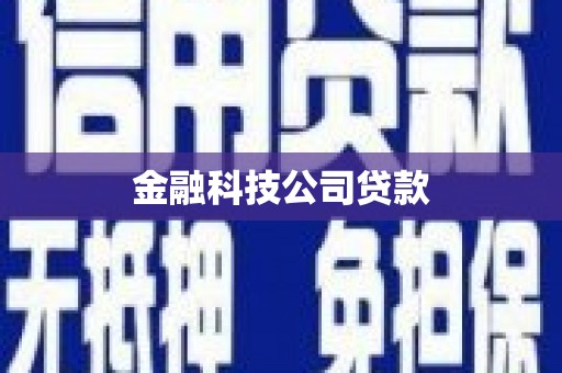 湘东金融科技公司贷款