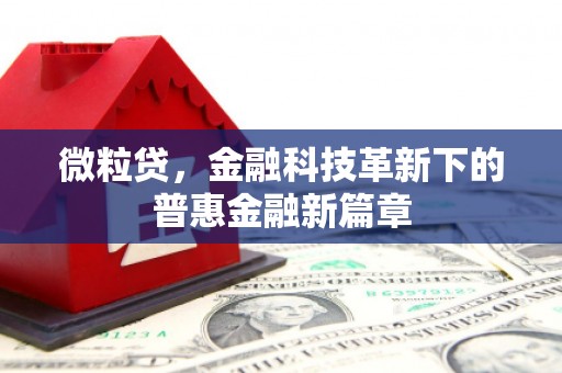 湘东微粒贷，金融科技革新下的普惠金融新篇章