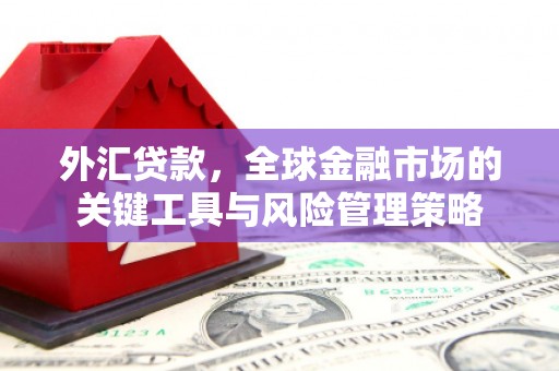 湘东外汇贷款，全球金融市场的关键工具与风险管理策略