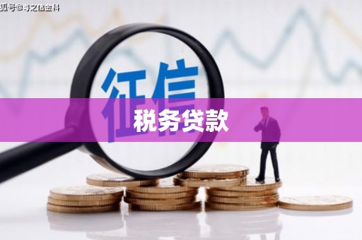 湘东税务贷款