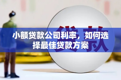 湘东小额贷款公司利率，如何选择最佳贷款方案
