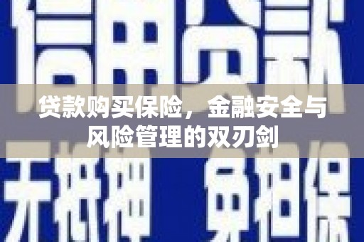 湘东贷款购买保险，金融安全与风险管理的双刃剑