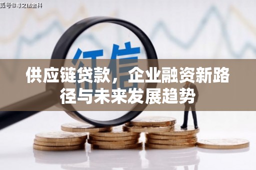 湘东供应链贷款，企业融资新路径与未来发展趋势