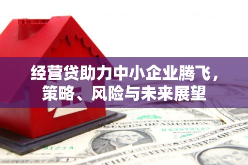 湘东经营贷助力中小企业腾飞，策略、风险与未来展望