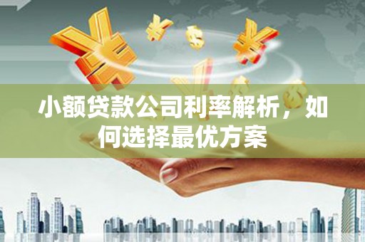 湘东小额贷款公司利率解析，如何选择最优方案