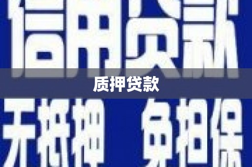 湘东质押贷款