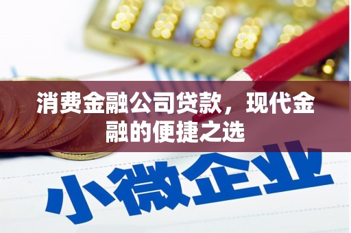 湘东消费金融公司贷款，现代金融的便捷之选