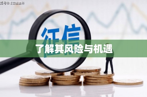 湘东了解其风险与机遇