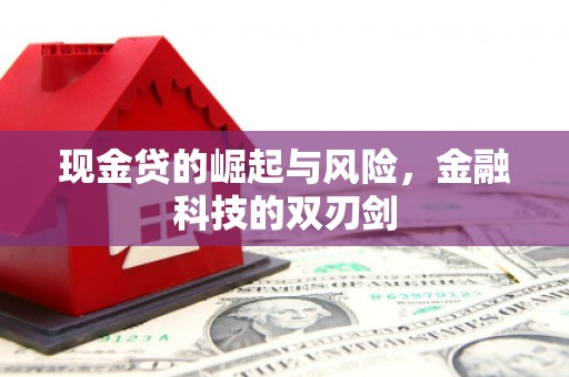 湘东现金贷的崛起与风险，金融科技的双刃剑