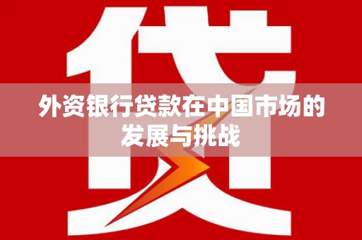 湘东外资银行贷款在中国市场的发展与挑战