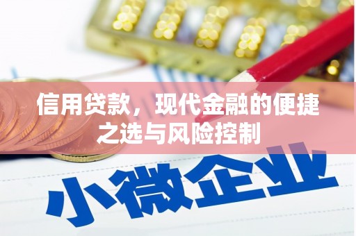 湘东信用贷款，现代金融的便捷之选与风险控制