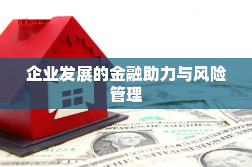 湘东企业发展的金融助力与风险管理