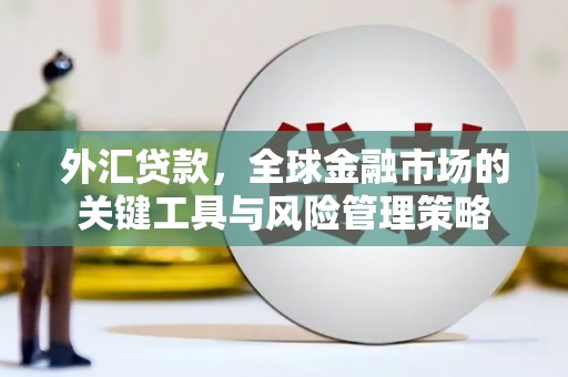 湘东外汇贷款，全球金融市场的关键工具与风险管理策略