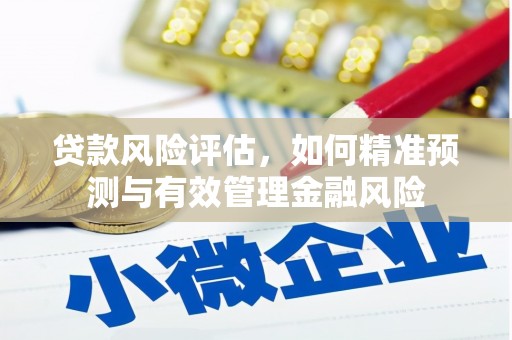 湘东贷款风险评估，如何精准预测与有效管理金融风险