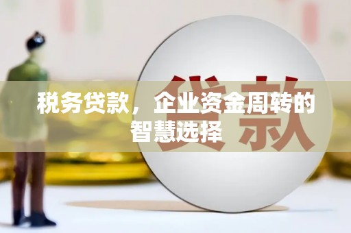 湘东税务贷款，企业资金周转的智慧选择