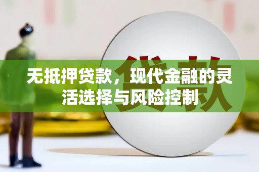 湘东无抵押贷款，现代金融的灵活选择与风险控制