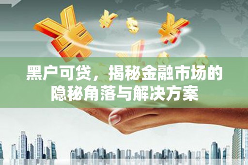 湘东黑户可贷，揭秘金融市场的隐秘角落与解决方案