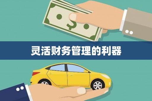湘东灵活财务管理的利器