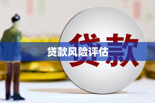 湘东贷款风险评估