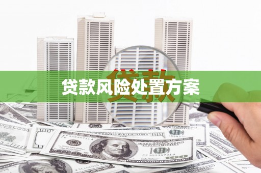 湘东贷款风险处置方案