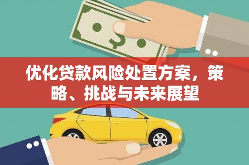 湘东优化贷款风险处置方案，策略、挑战与未来展望