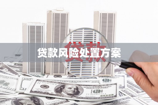 湘东贷款风险处置方案
