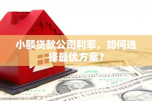 湘东小额贷款公司利率，如何选择最优方案？