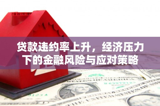 湘东贷款违约率上升，经济压力下的金融风险与应对策略