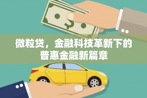 湘东微粒贷，金融科技革新下的普惠金融新篇章