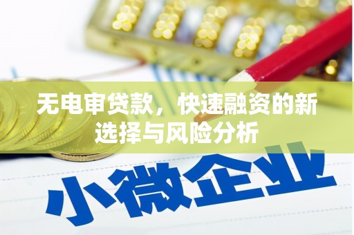 湘东无电审贷款，快速融资的新选择与风险分析