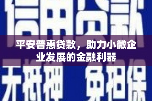 湘东平安普惠贷款，助力小微企业发展的金融利器