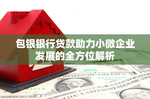 湘东包银银行贷款助力小微企业发展的全方位解析